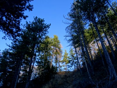 Des pins dans la descente en 4 ou 5 lacets raides via la f… 