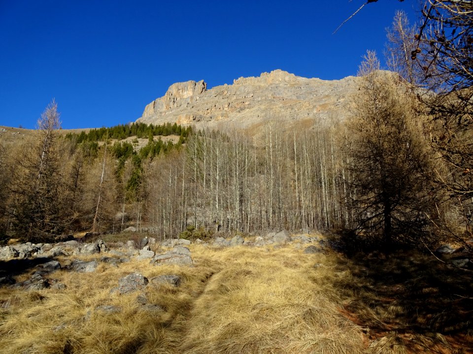 Contreforts sous la Cime de la Condamine 