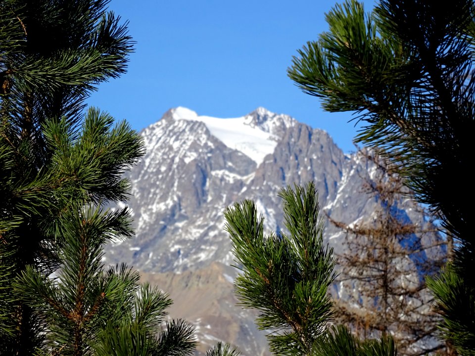 Le Mont Pelvoux 