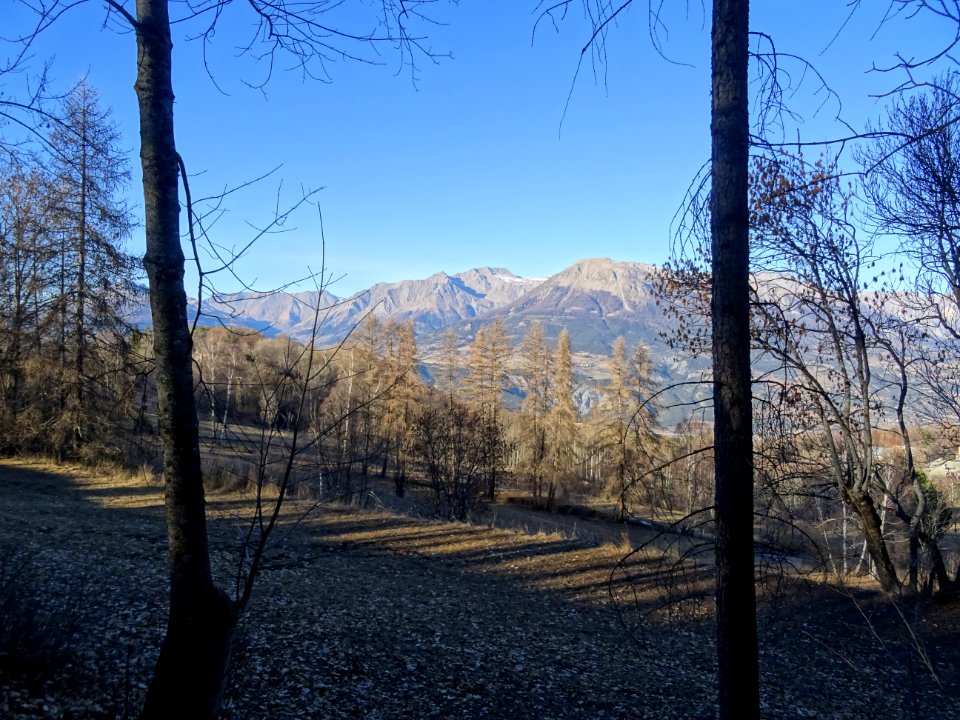 Le Mont Guillaume et la vallée de la Durance depuis le ham… 
