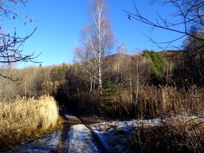Le chemin entre le hameau de Marlès et la forêt domaniale … 