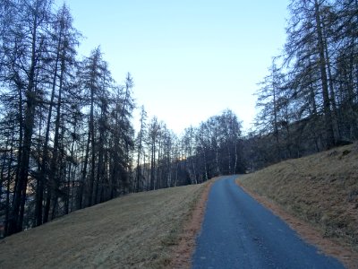 Petite route, qui remonte depuis le hameau de Marlès vers … 