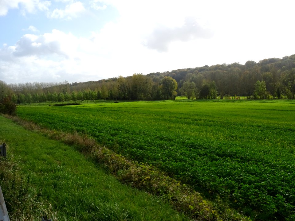 DSC00205 