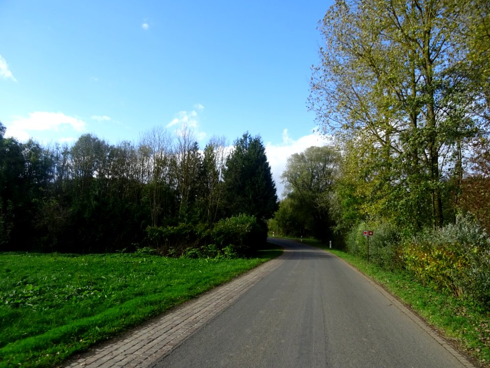 DSC00441 