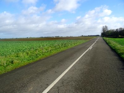 Entre Bernapré et Romescamps, Oise 