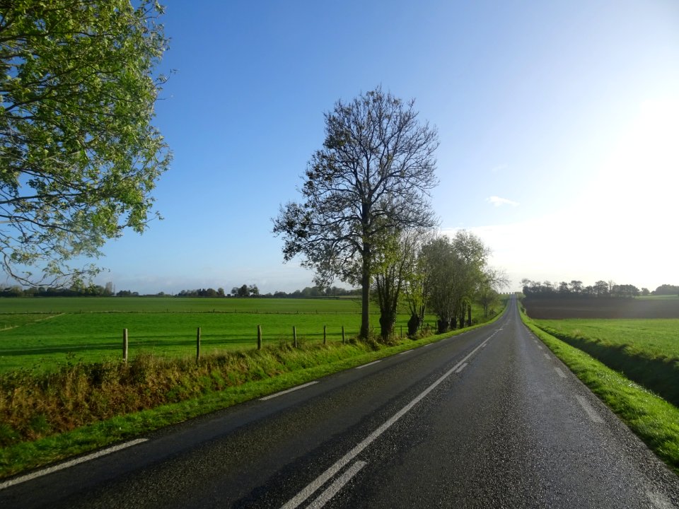 La petite route D919 entre Bosc-Bordel et Mauquenchy, Sein… 