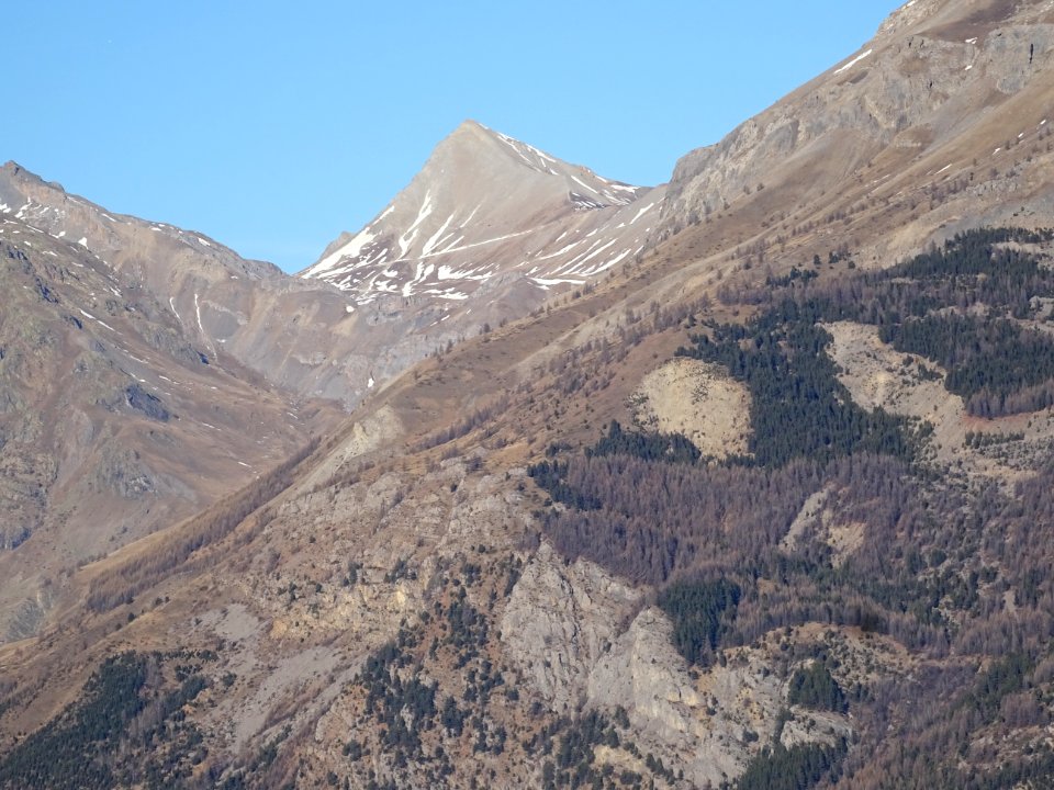 La Cucumelle 
