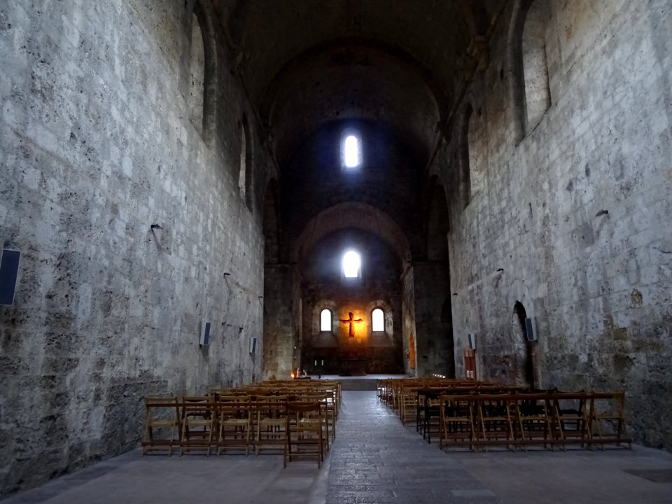 Nef de l'abbaye Notre-Dame de Boscodon, Hautes-Alpes 