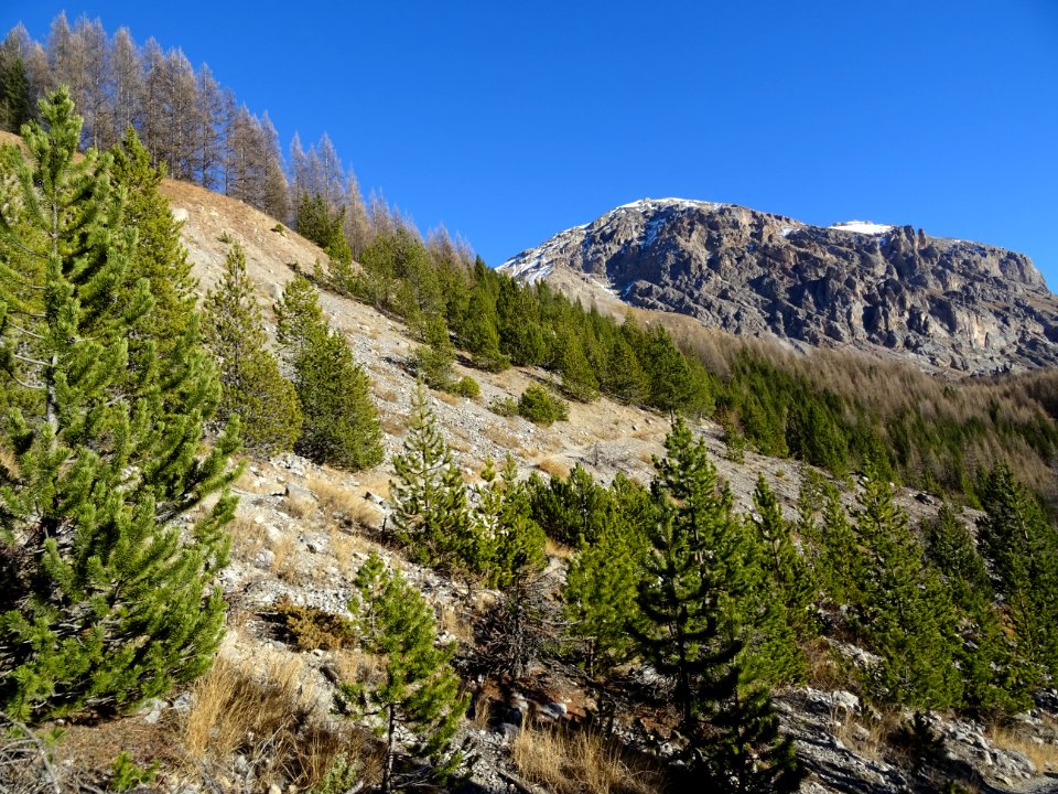 Tête des Lauzières depuis le sentier en montant à la Cime … 