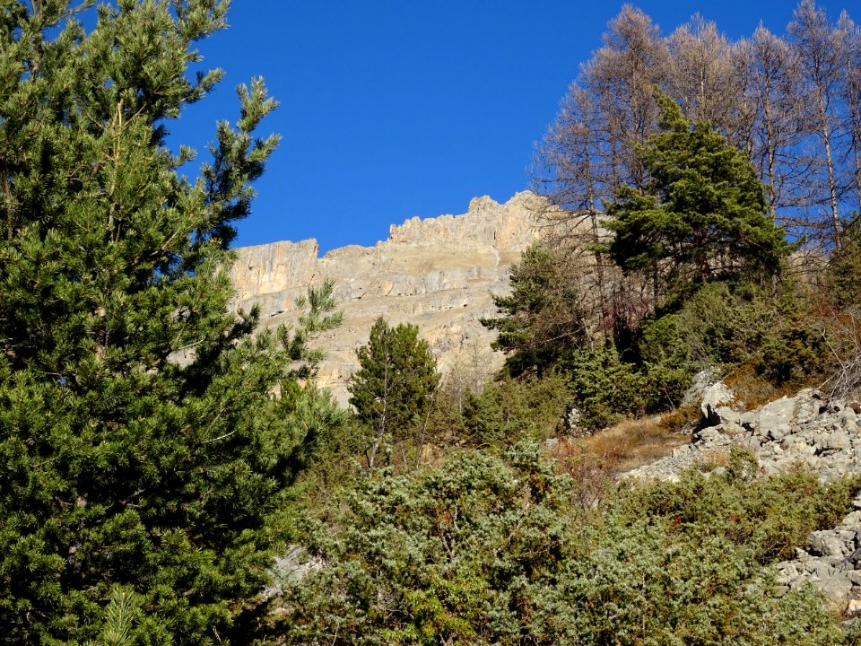 En regardant vers le haut, depuis le sentier en montant à … 