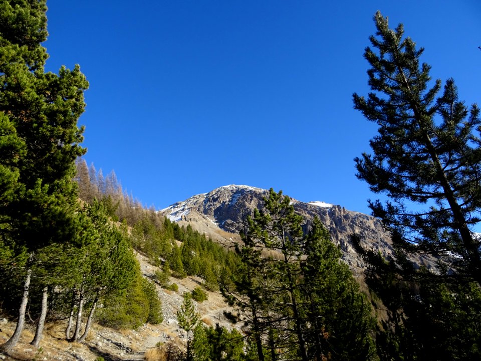 Tête des Lauzières, depuis le sentier en montant à la Cime… 