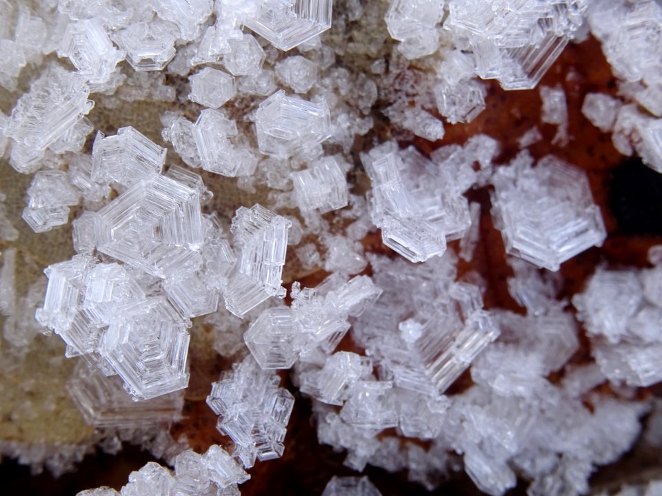 Cristaux de glace 