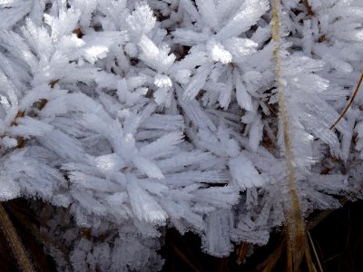 Cristaux de glace 