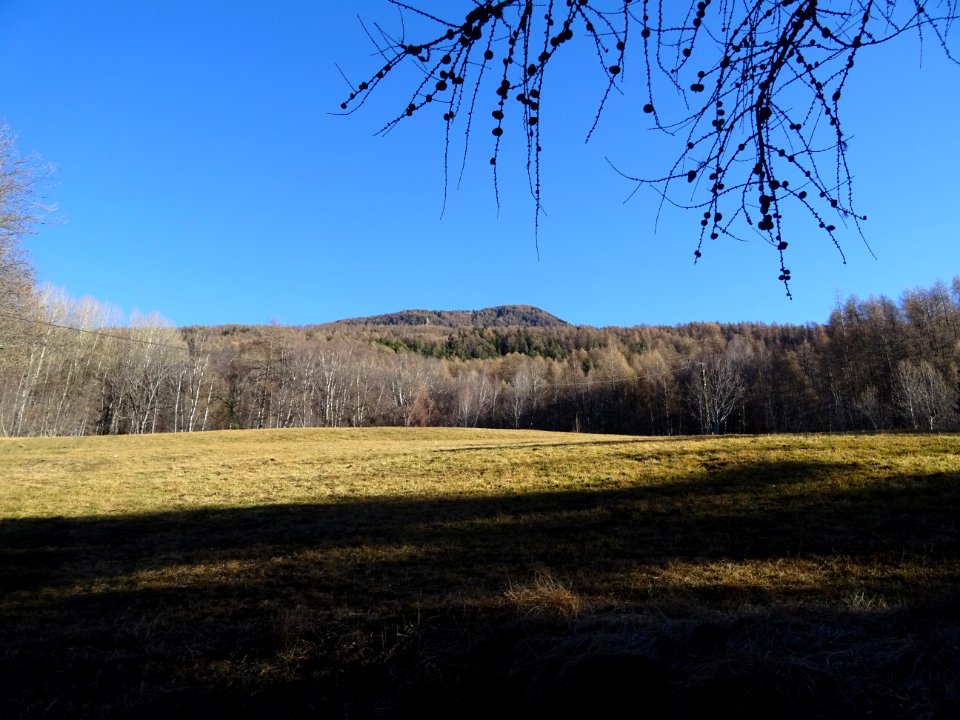 Prairie, Les Sagnières, Hautes-Alpes 
