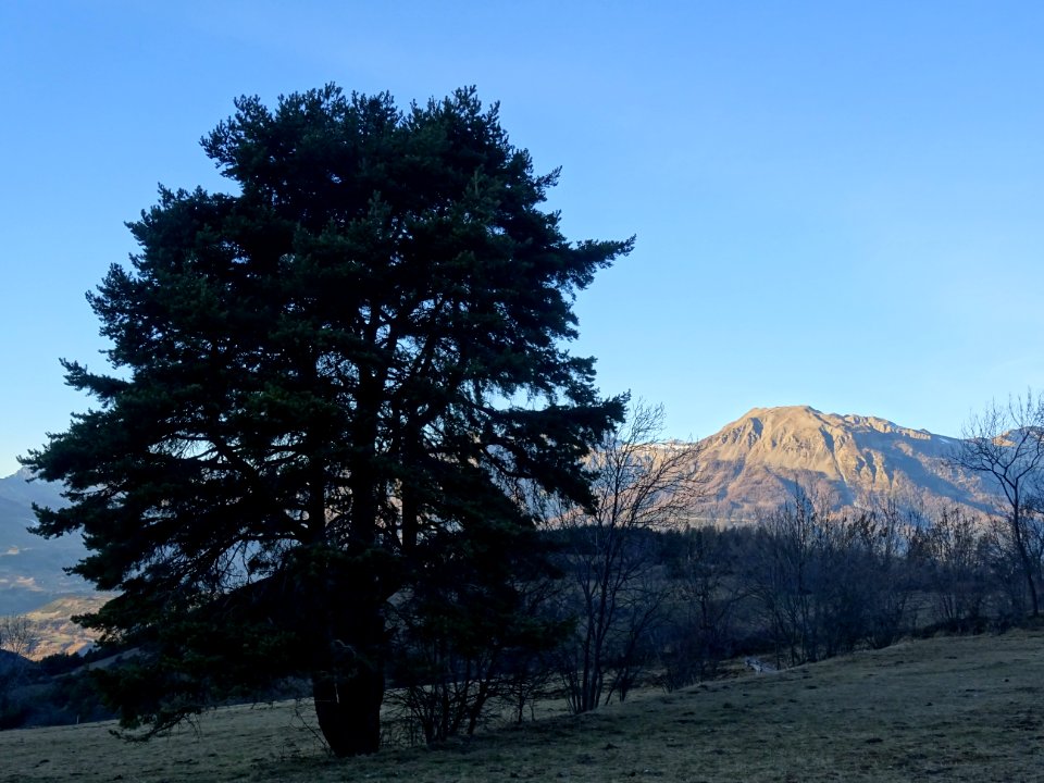 Le Mont Guillaume dans la lumière du soir, Hautes-Alpes 