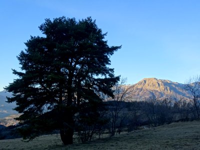 Le Mont Guillaume dans la lumière du soir, Hautes-Alpes 
