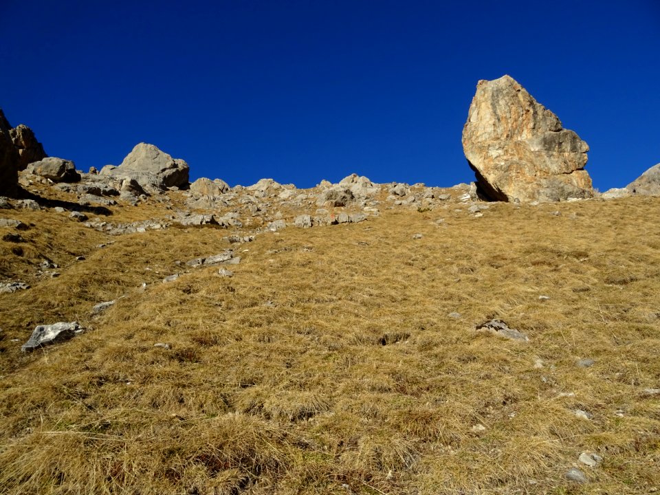 Montée raide dans l'alpage de Coste Blaou 