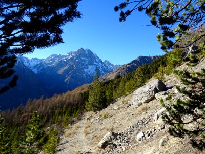 Le Mont Pelvoux et la face sud des Ecrins depuis le sentie… 