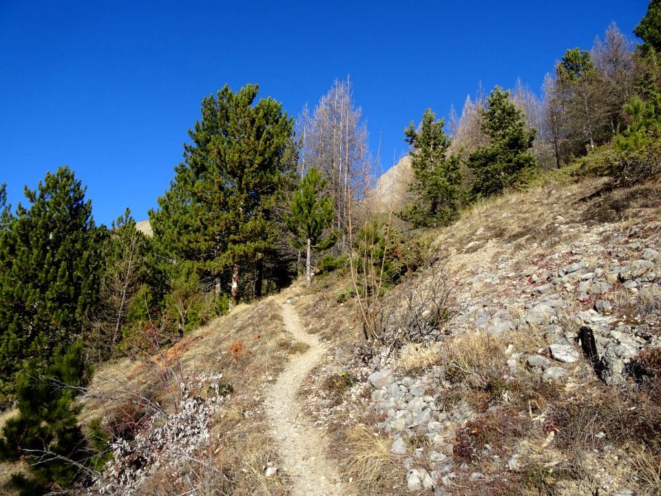 Le sentier en montant à la Cime de la Condamine 
