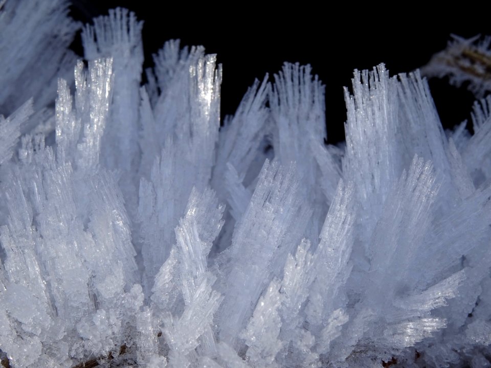 Cristaux de glace 