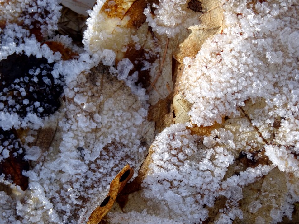 Cristaux de glace 