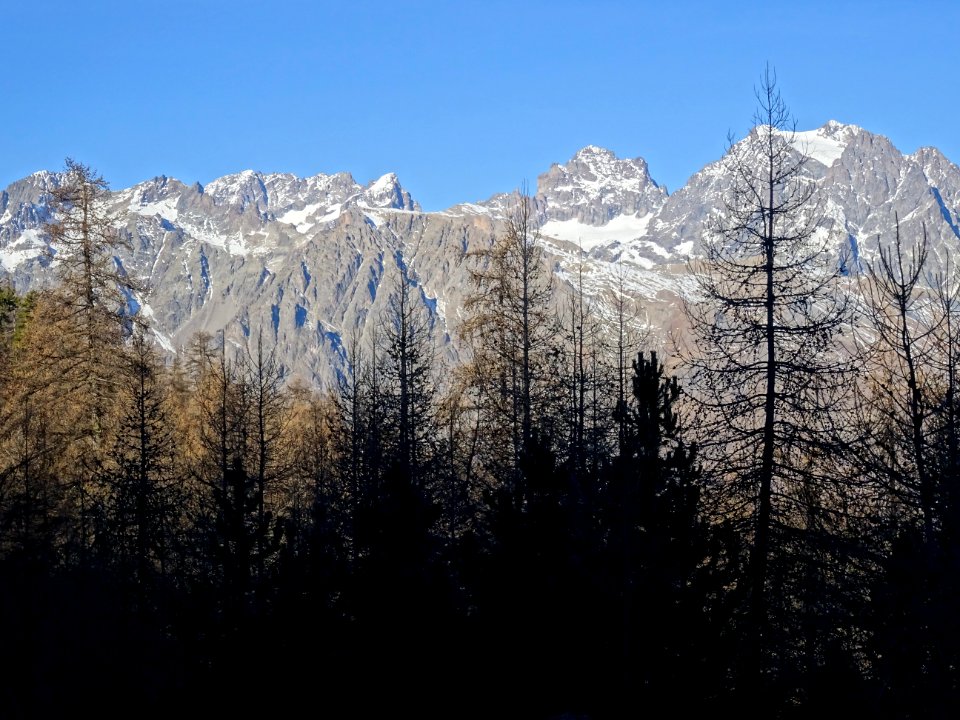 Les Bans, les Ailefroides, le Pic sans Nom, le Mont Pelvou… 