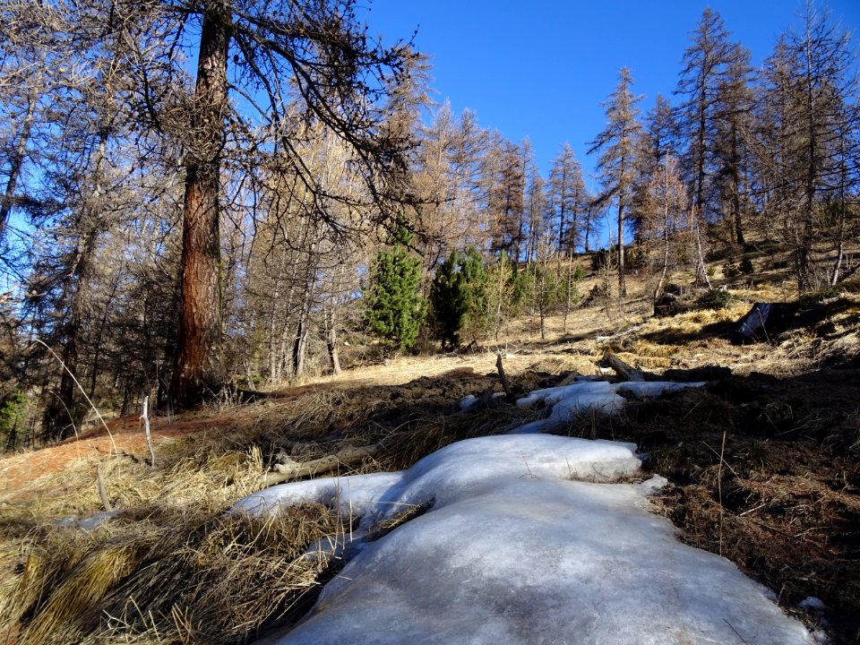 Plaque de neige et glace 