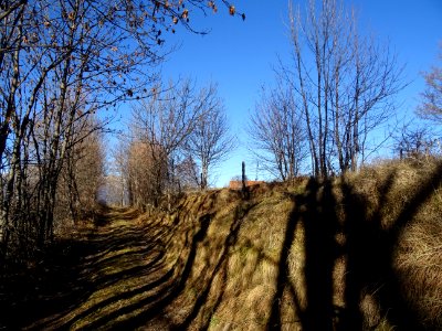 Chemin après le hameau de Marlès, Hautes-Alpes 