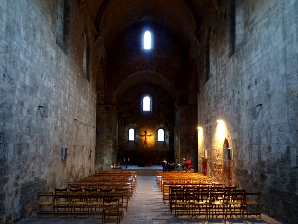 Nef de l'abbaye Notre-Dame de Boscodon, Hautes-Alpes 