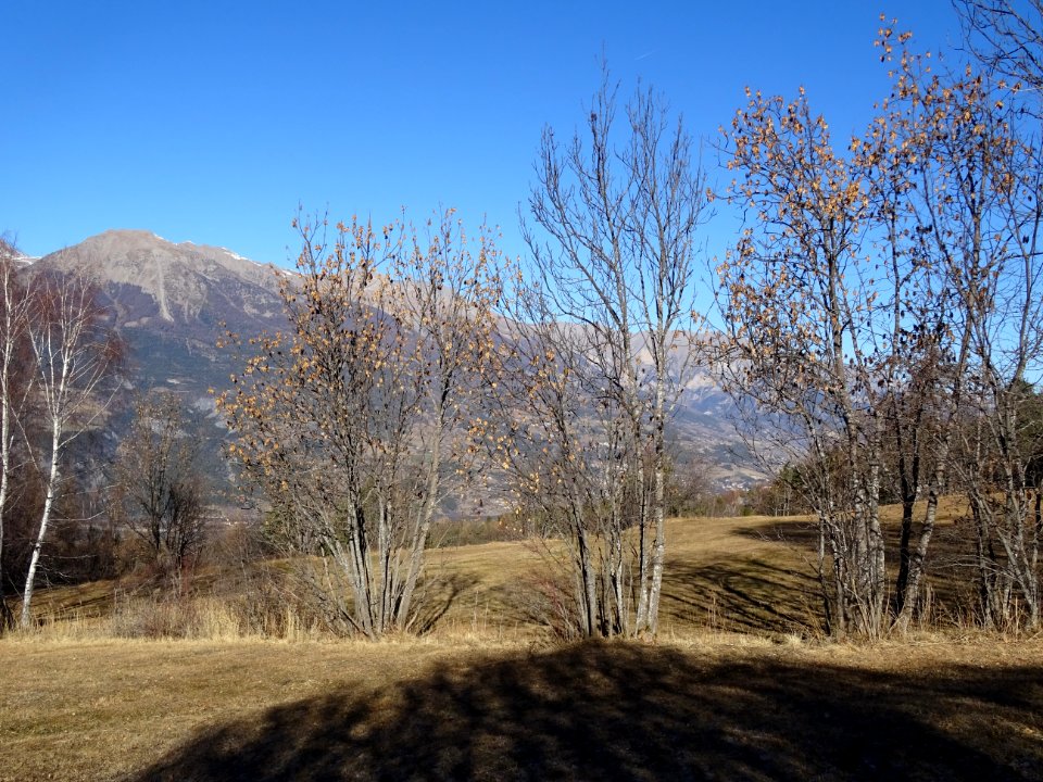 Le Mont Guillaume, vu depuis Les Sagnières, Hautes-Alpes 