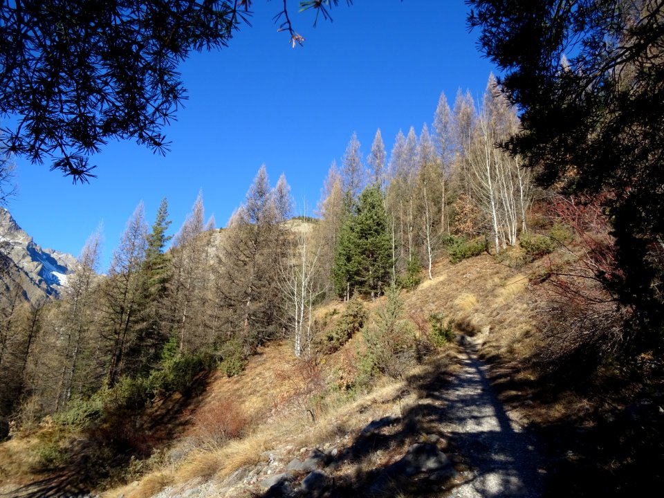 Le sentier en montant à la Cime de la Condamine 