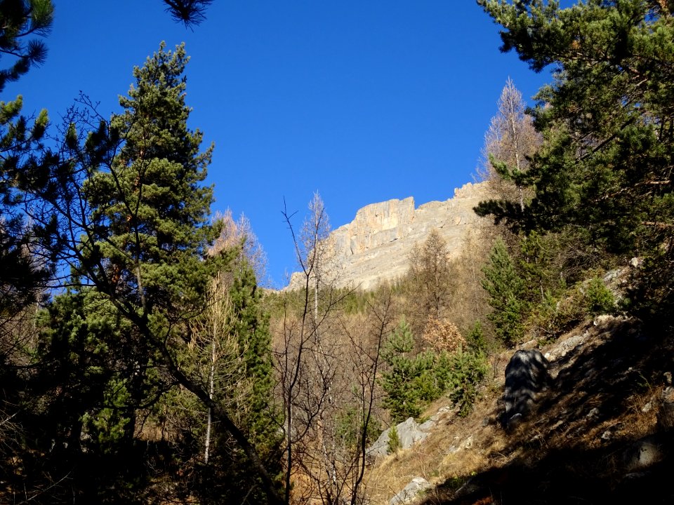 Les contreforts sous la Cime de la Condamine, depuis le se… 