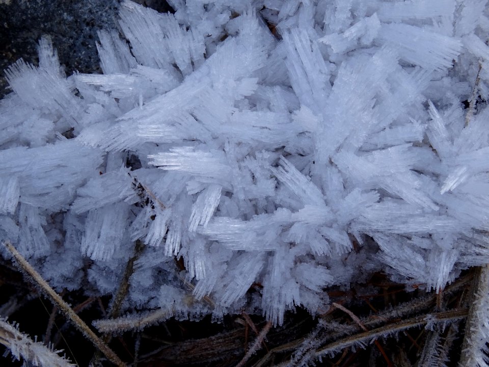 Cristaux de glace 