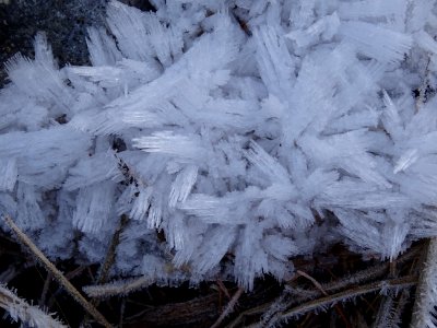 Cristaux de glace 