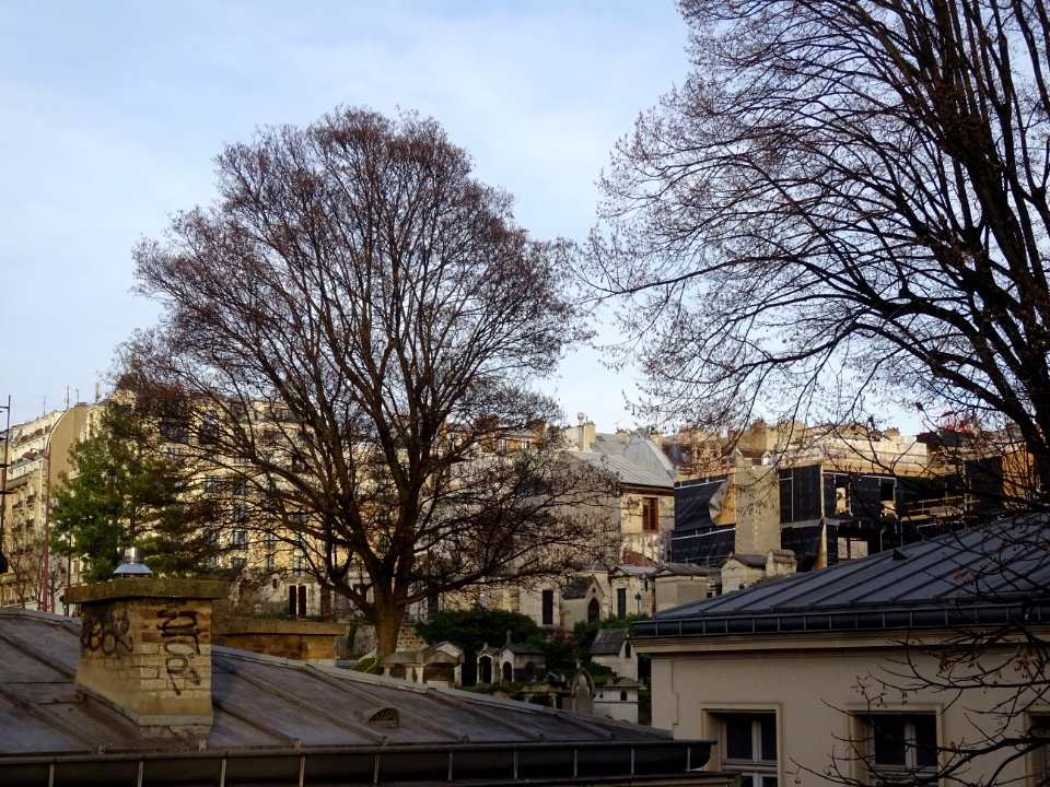 Cimetière de Montmartre, depuis la rue Caulaincourt, 18e a… 