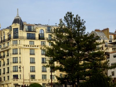 Pins et façade d'immeuble, rue Caulaincourt, 18e arr., Par… 