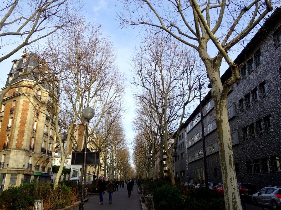 Promenade Dora Bruder, entre la rue Leibniz et la rue Bell… 