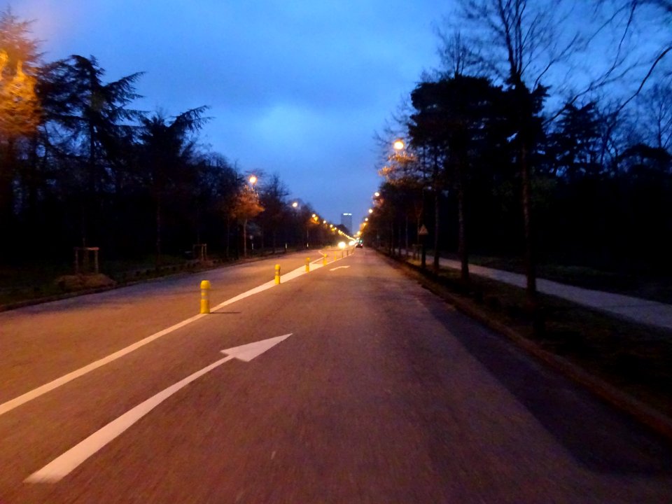 Traversée du Bois de Boulogne, allée de Longchamp, en alla… 