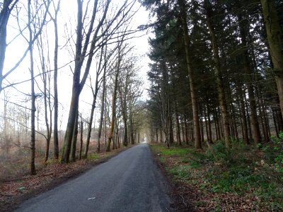 Route d'Ognon à Villers-St-Frambourg, Oise 