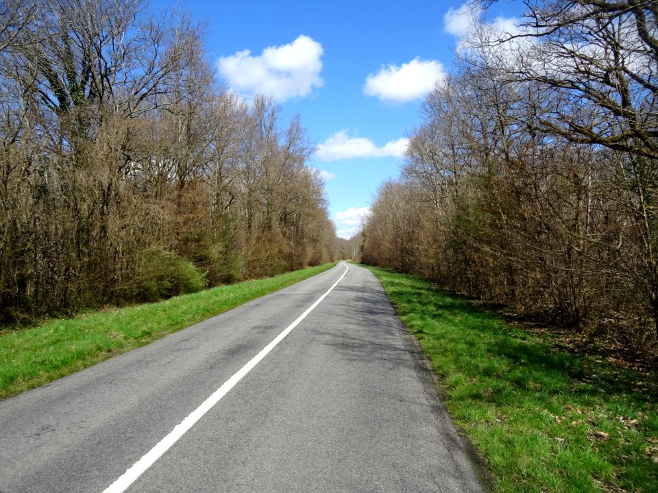 La route D948 vers Nainville-les-Roches, Essonne 