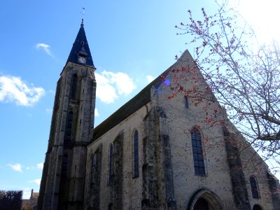 La collégiale Notre-Dame-de-l’Assomption, Milly-la-Forêt, … 