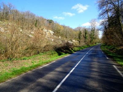 Route D410 entre Tousson et Oncy-sur-Ecole, Seine-et-Marne… 