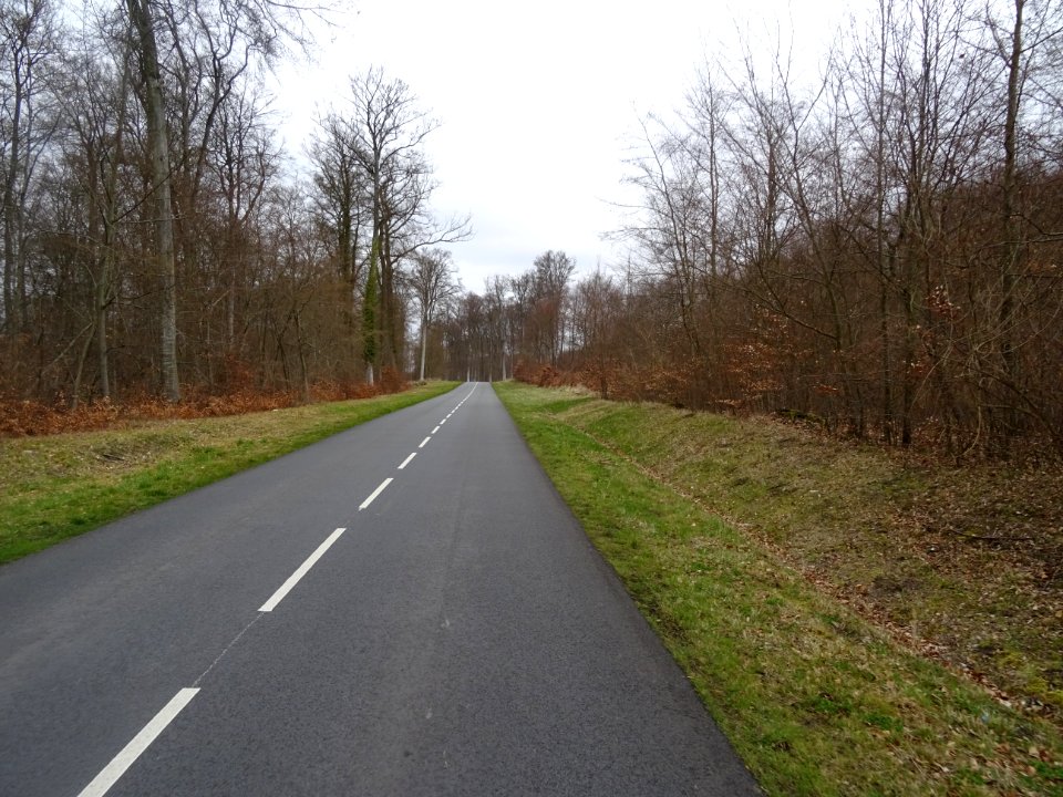 Forêt domaniale de Compiègne, près de Le Vivier Frère Rob… | Flickr