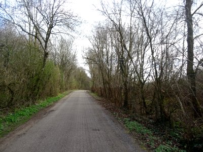 Route entre Chamant et Ognon, forêt domaniale d'Halatte, O… 