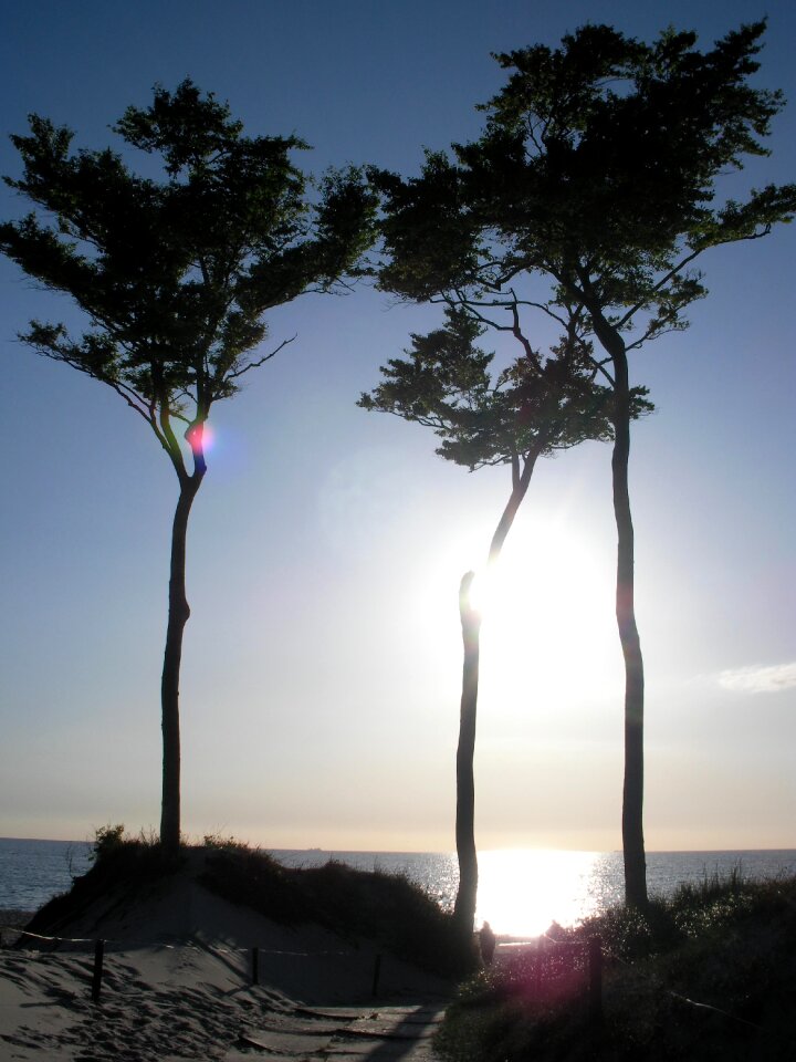 Sea nature landscape
