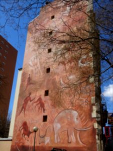 DSC01770 