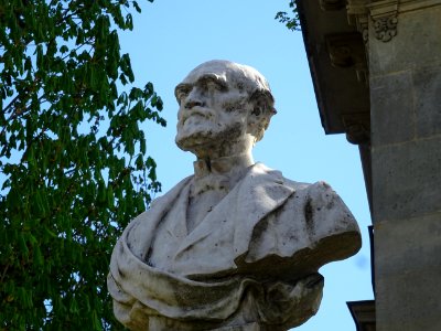 DSC01938 