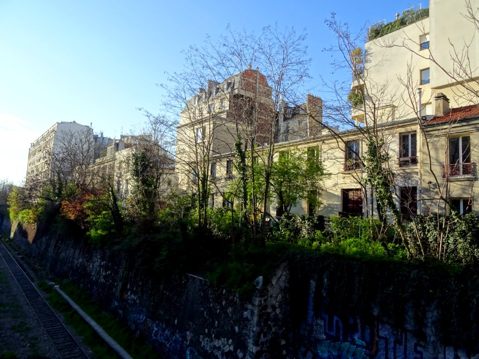 DSC02144 