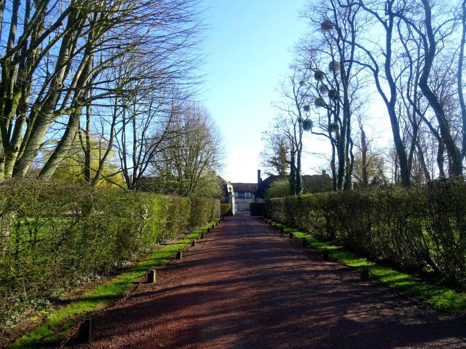 Allée du château de la Mothe, Saint-Lyé-la-Forêt, Loiret 