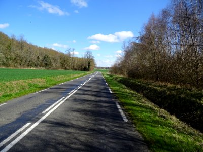 Route D410 entre Tousson et Oncy-sur-Ecole, Seine-et-Marne… 